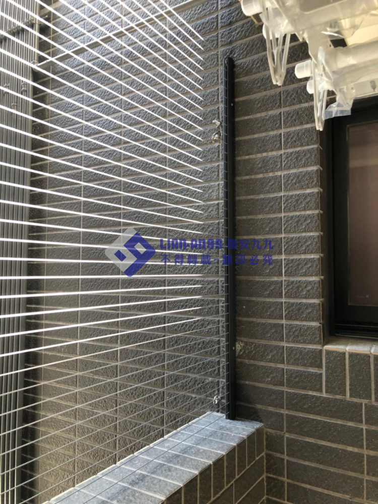 南投草屯蔡先生 (8)