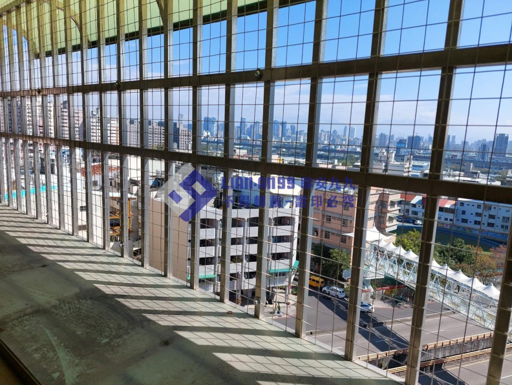 台中南屯李先生 (6)