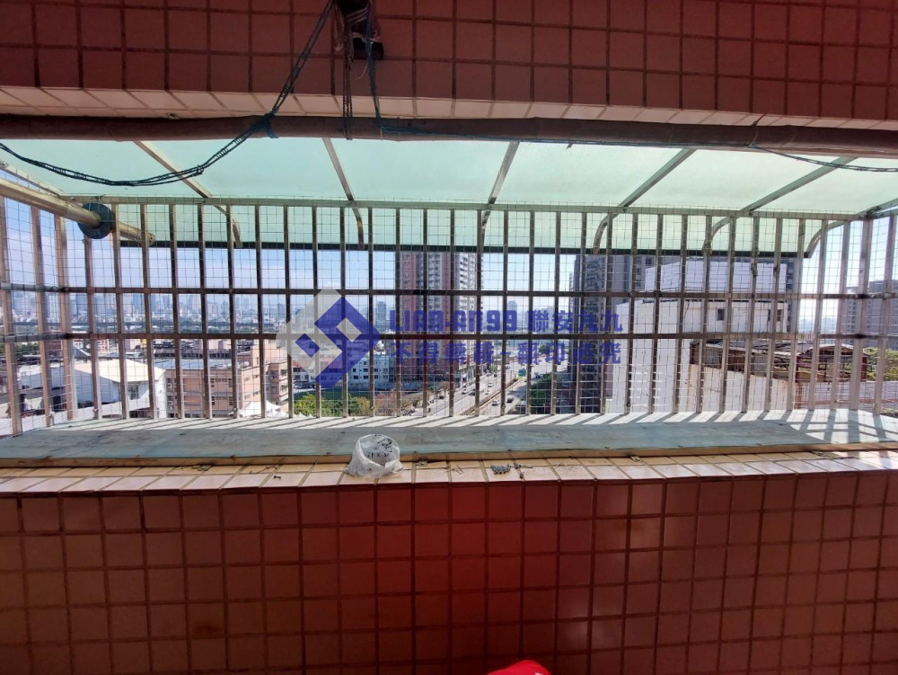 台中南屯李先生 (3)