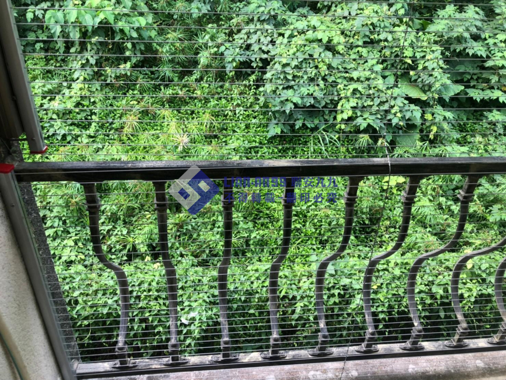 台中北屯曾小姐 (4)