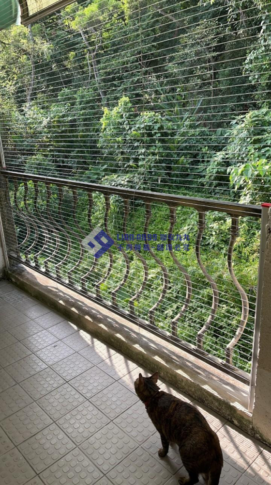 台中北屯曾小姐 (1)