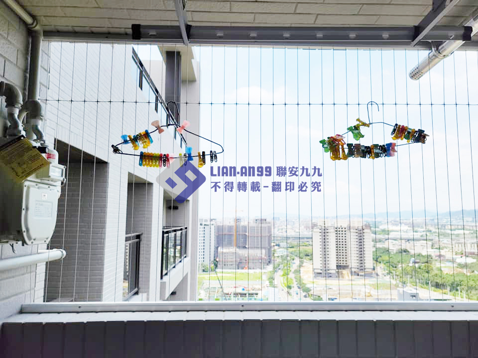 台中市登陽春賞藍先生 (3)