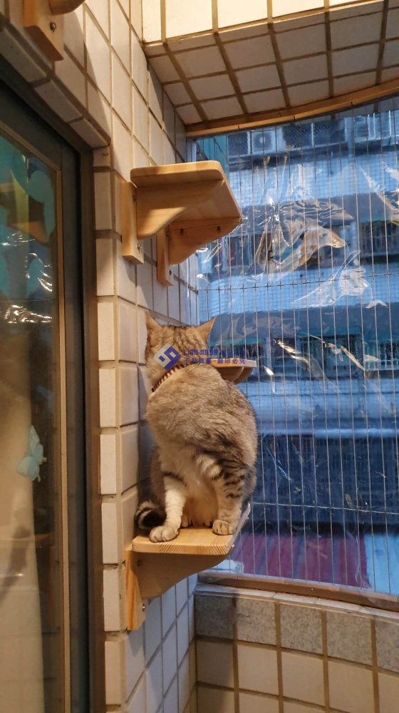 台中市忠勇路黃小姐 (4)