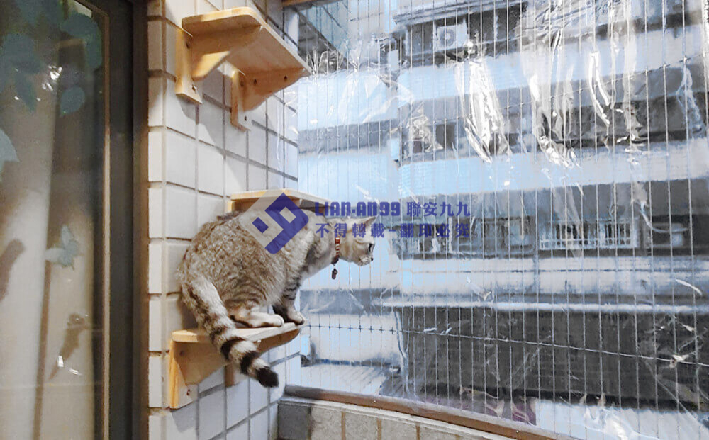 台中市忠勇路黃小姐 (1)_copy