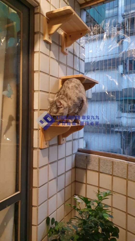 台中市忠勇路黃小姐 (3)