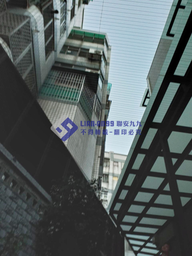 台中潭子蔡小姐 (4)