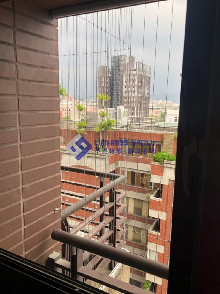 台中西屯林先生 (4)