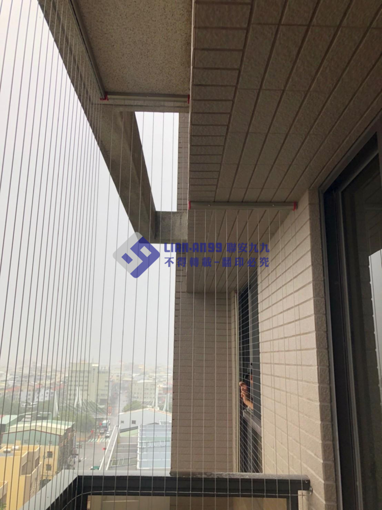 台中豐原林先生 (9)