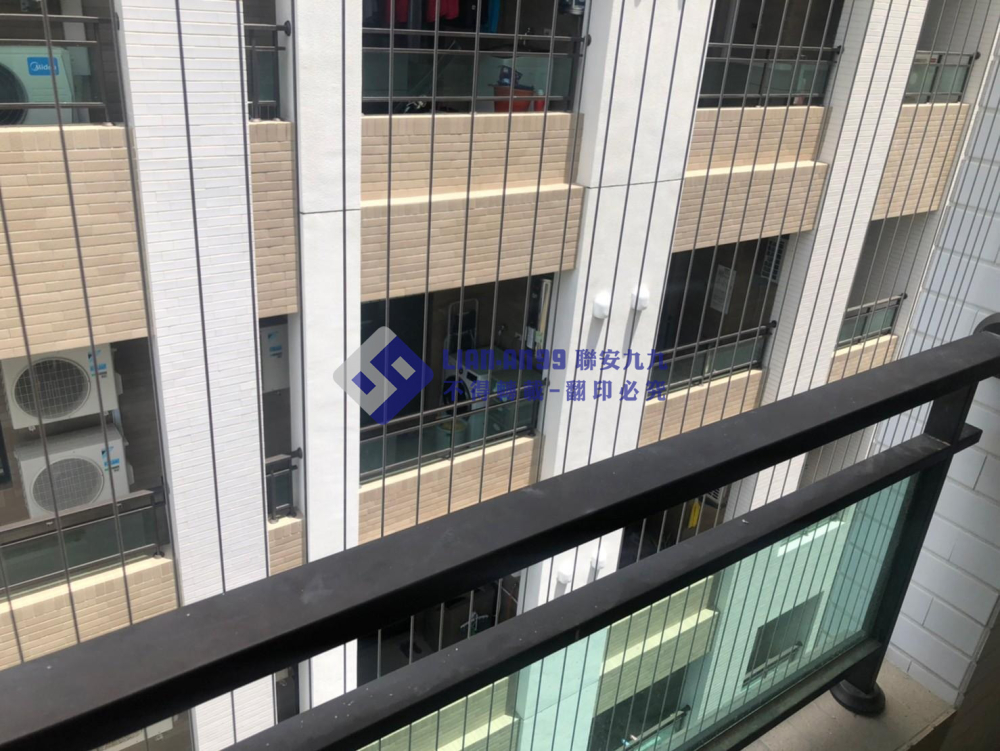 台南善化余小姐 (5)