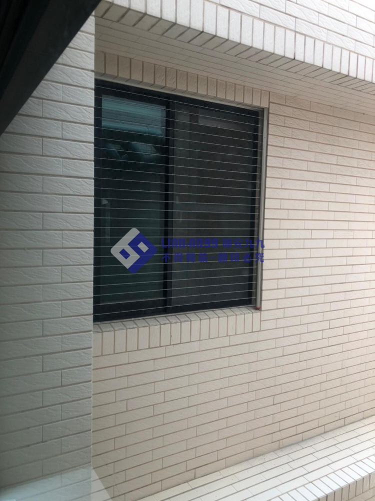 台南善化鐘先生 (5)