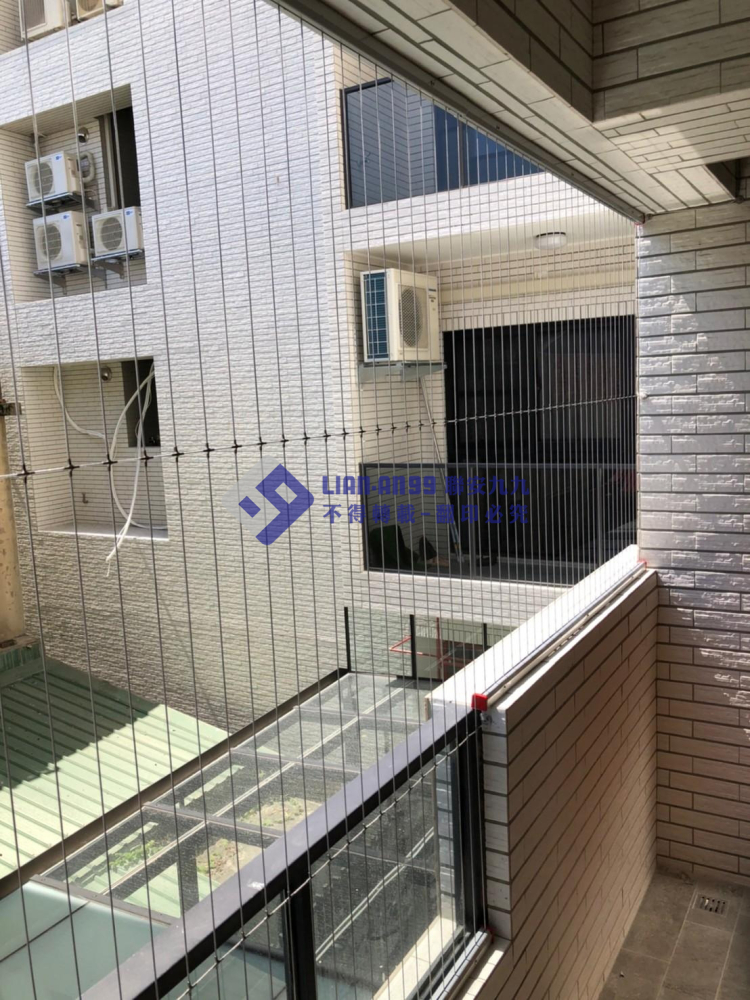 台南新化林先生 (6)