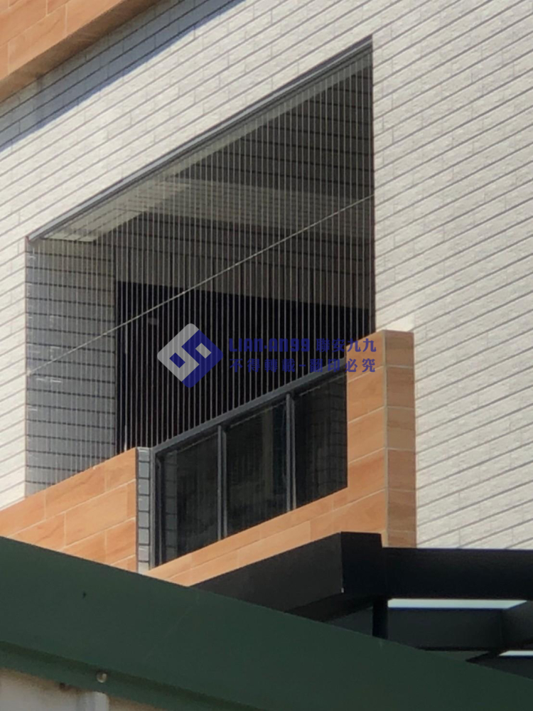 台南新化林先生 (7)