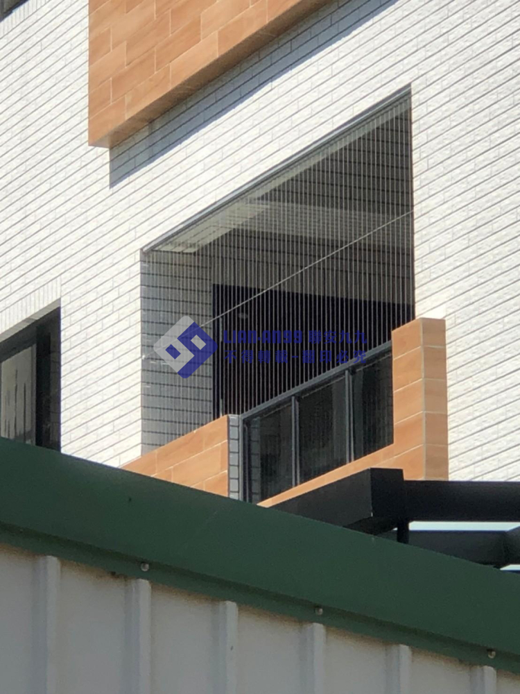 台南新化林先生 (1)