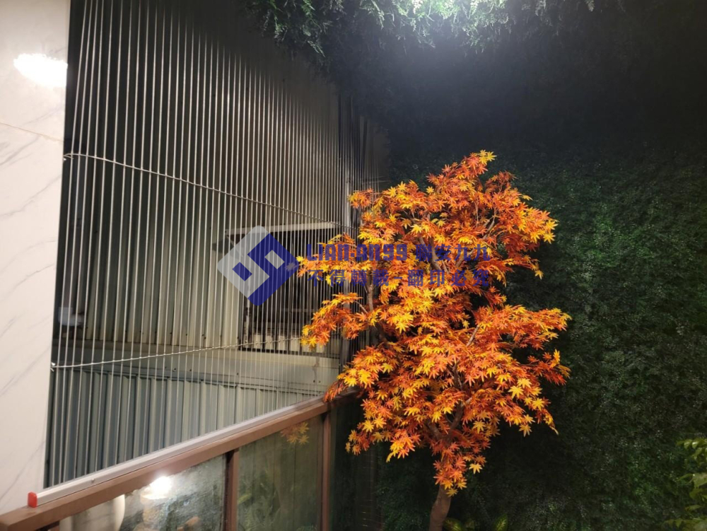 台南西區李先生(貓旅館) (2)