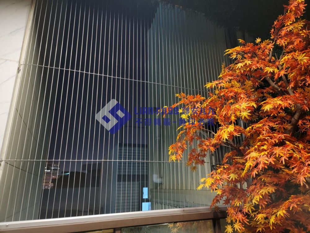 台南西區李先生(貓旅館) (3)