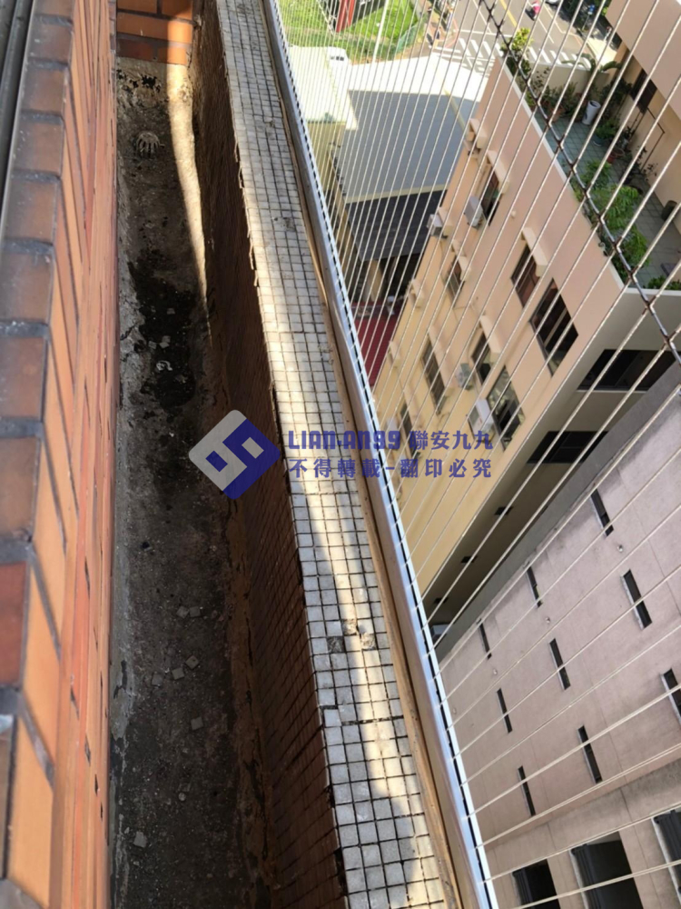 嘉義東區陳小姐 (4)