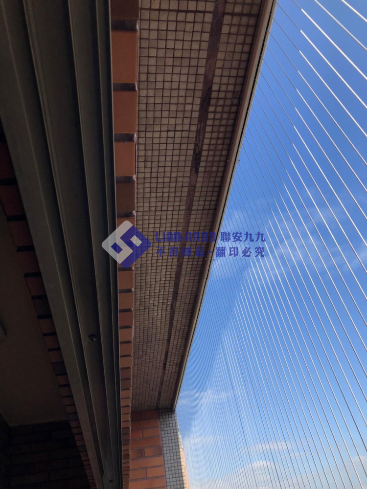 嘉義東區陳小姐 (6)