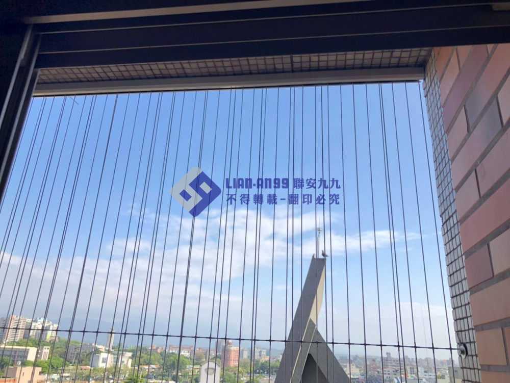 嘉義東區陳小姐 (3)