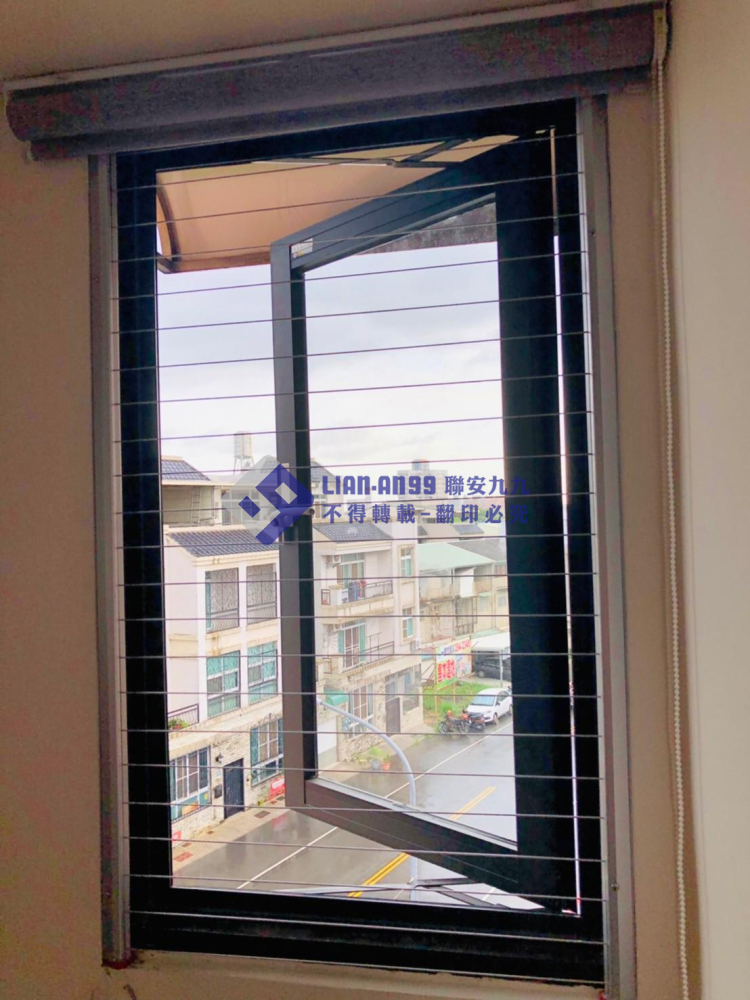 嘉義東區黨小姐 (1)