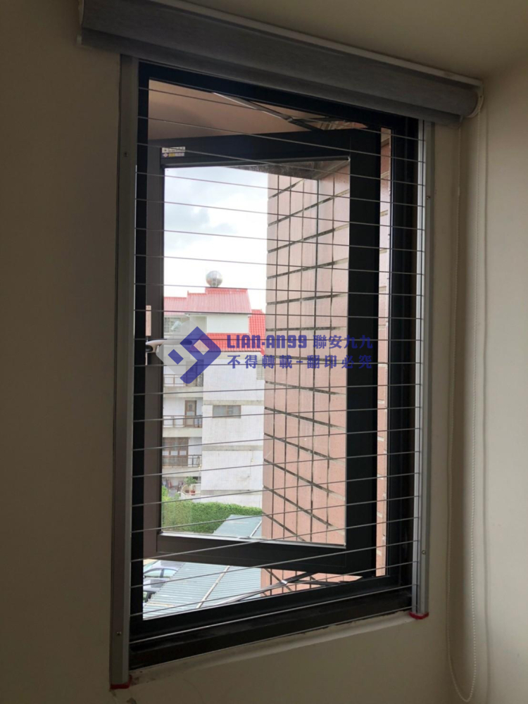 嘉義東區黨小姐 (2)