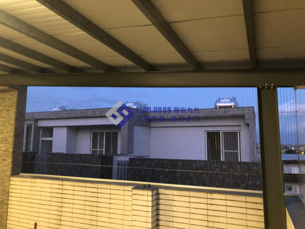 宜蘭冬山劉小姐 (2)