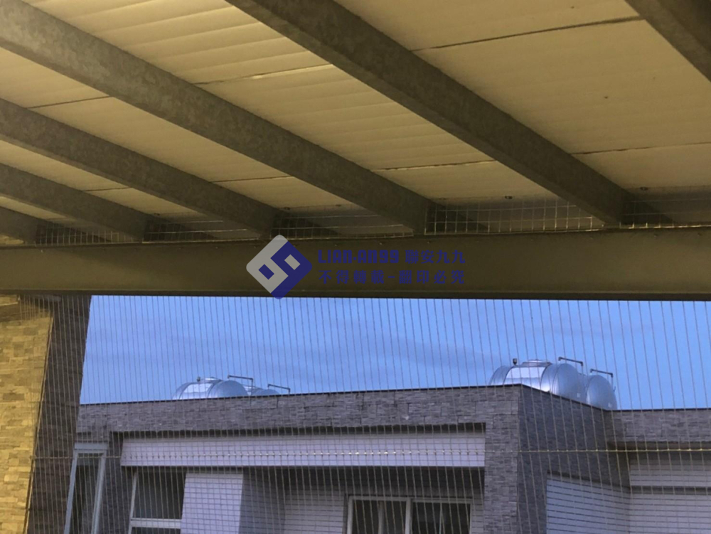 宜蘭冬山劉小姐 (3)