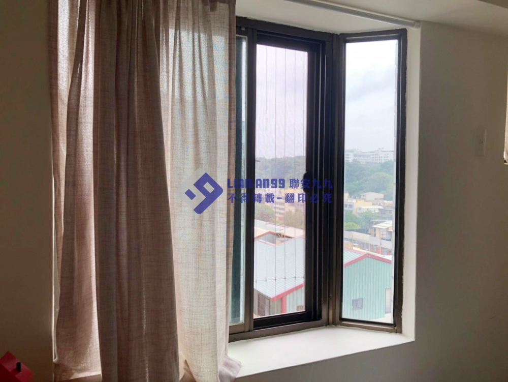 彰化大智路黃小姐 (3)