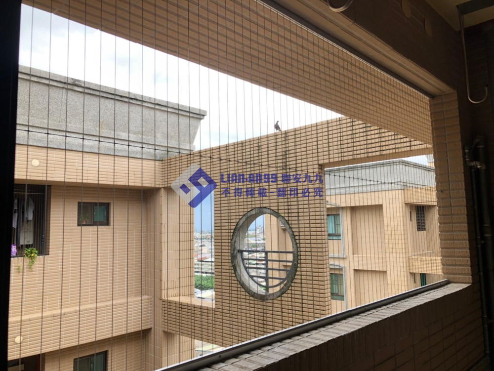 屏東張小姐 (2)_copy