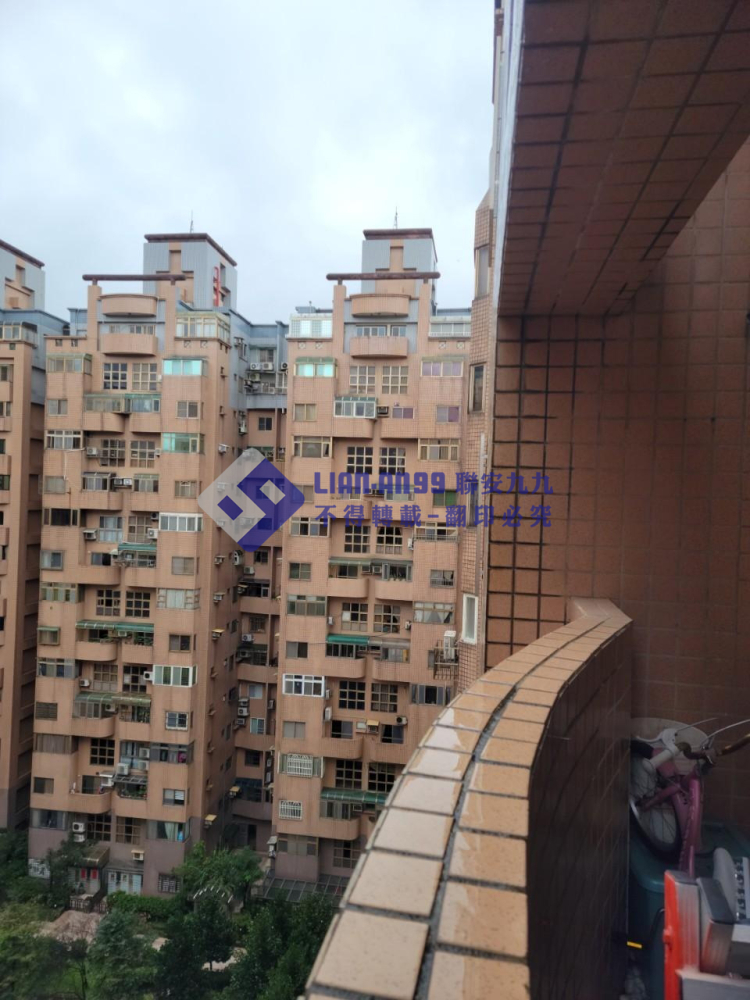 桃園永安北路蔡小姐 (4)