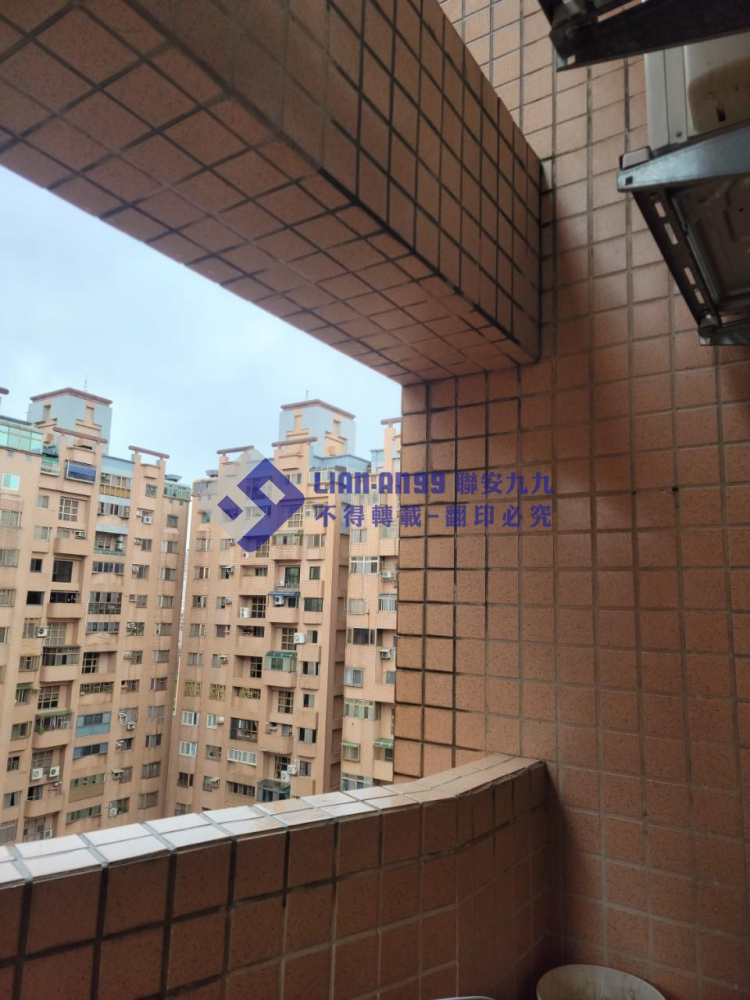 桃園永安北路蔡小姐 (5)