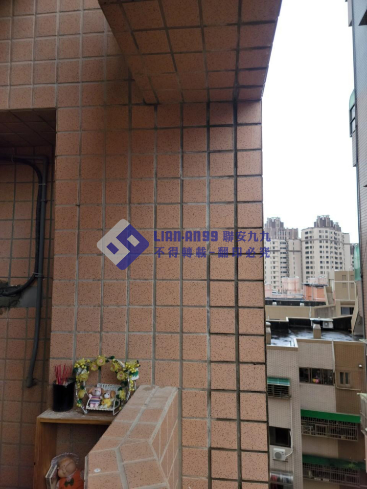 桃園永安北路蔡小姐 (3)