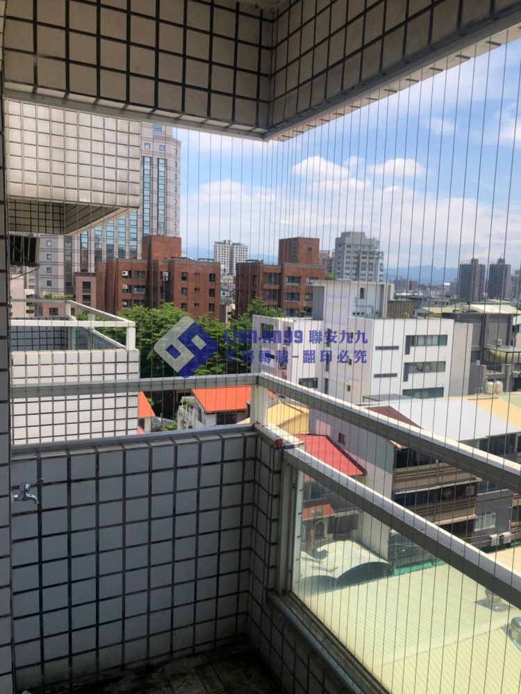 臺中西區林小姐 (2)