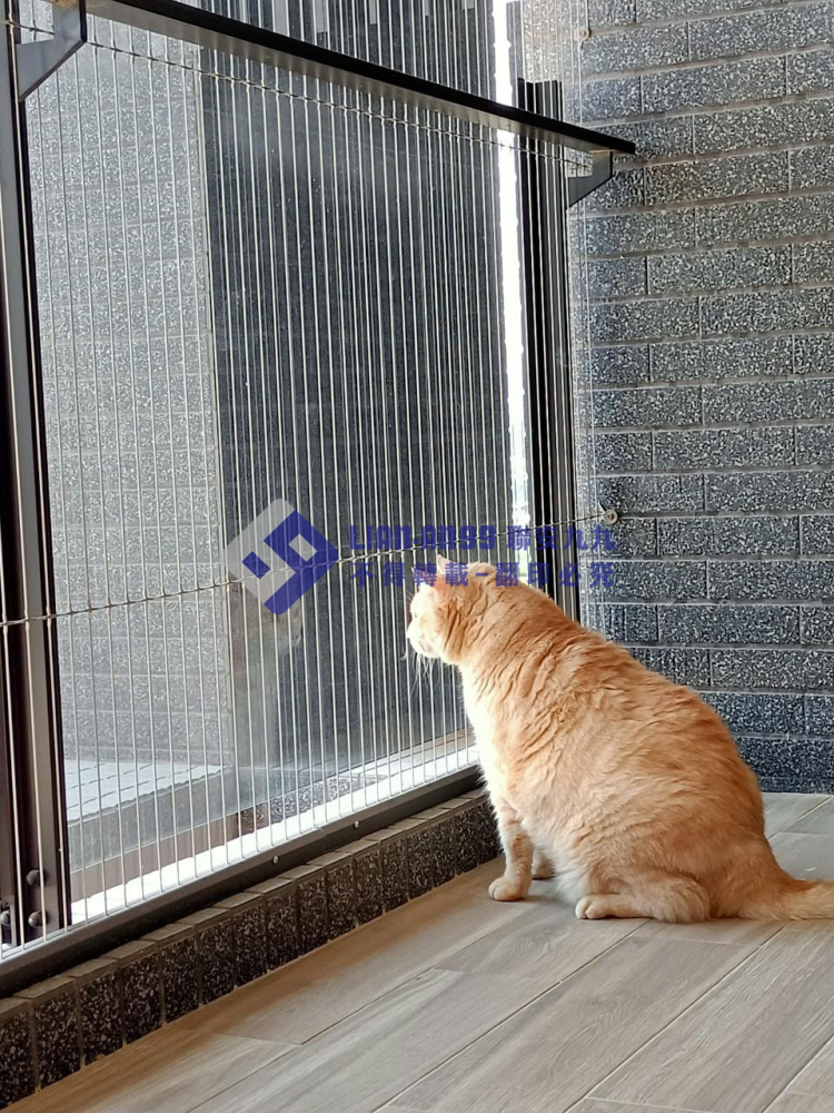 臺南安南黃先生 (13)