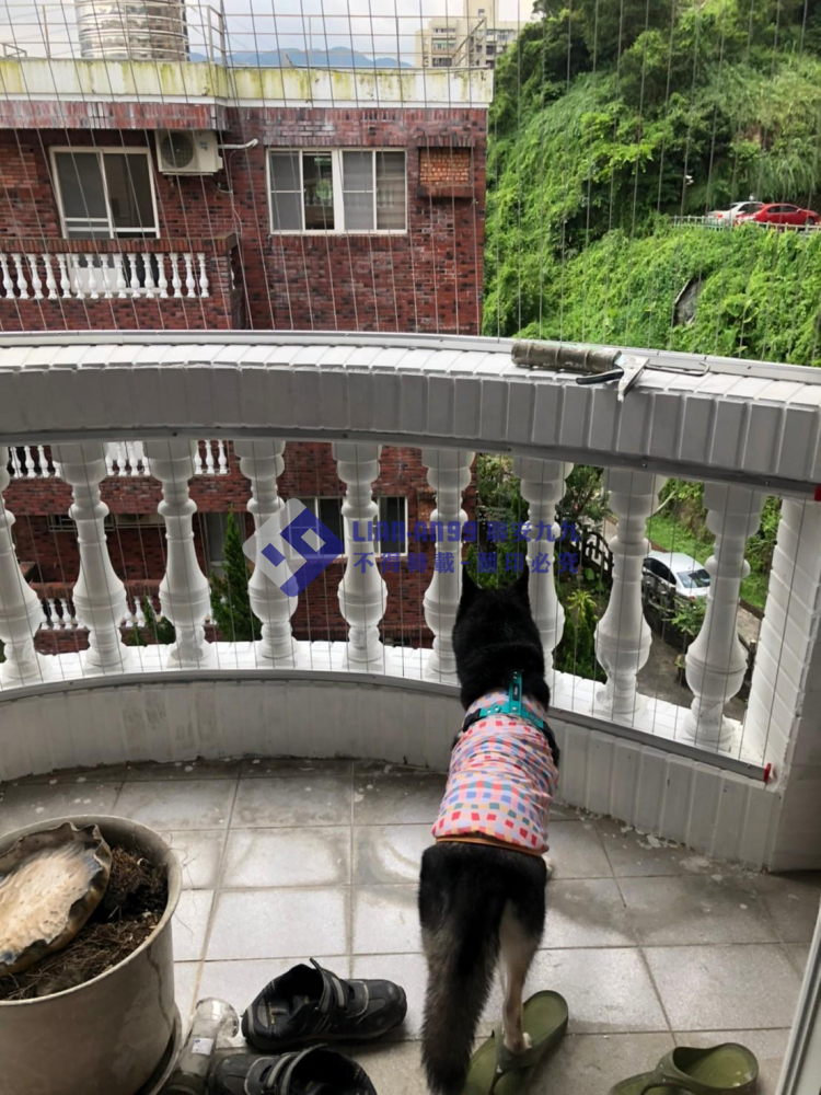 臺北汐止吳先生 (2)