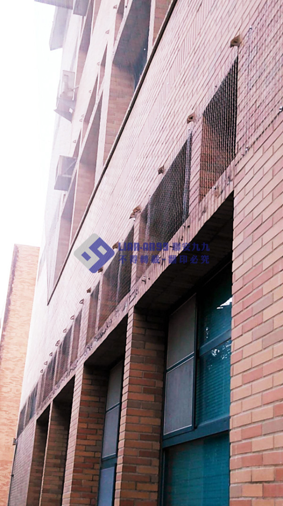 花蓮縣東華理工一館 (3)