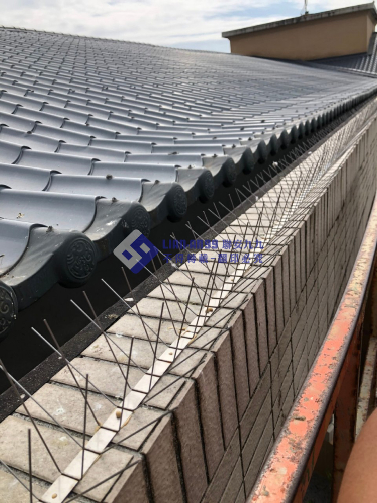 花蓮縣東華大學人社三館 (2)