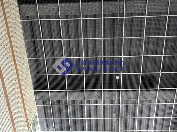 花蓮縣東華大學圖書館 (4)