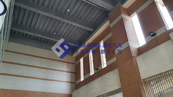 花蓮縣東華大學圖書館 (2)