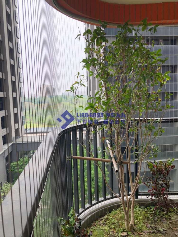 高雄橋頭唐先生 (4)