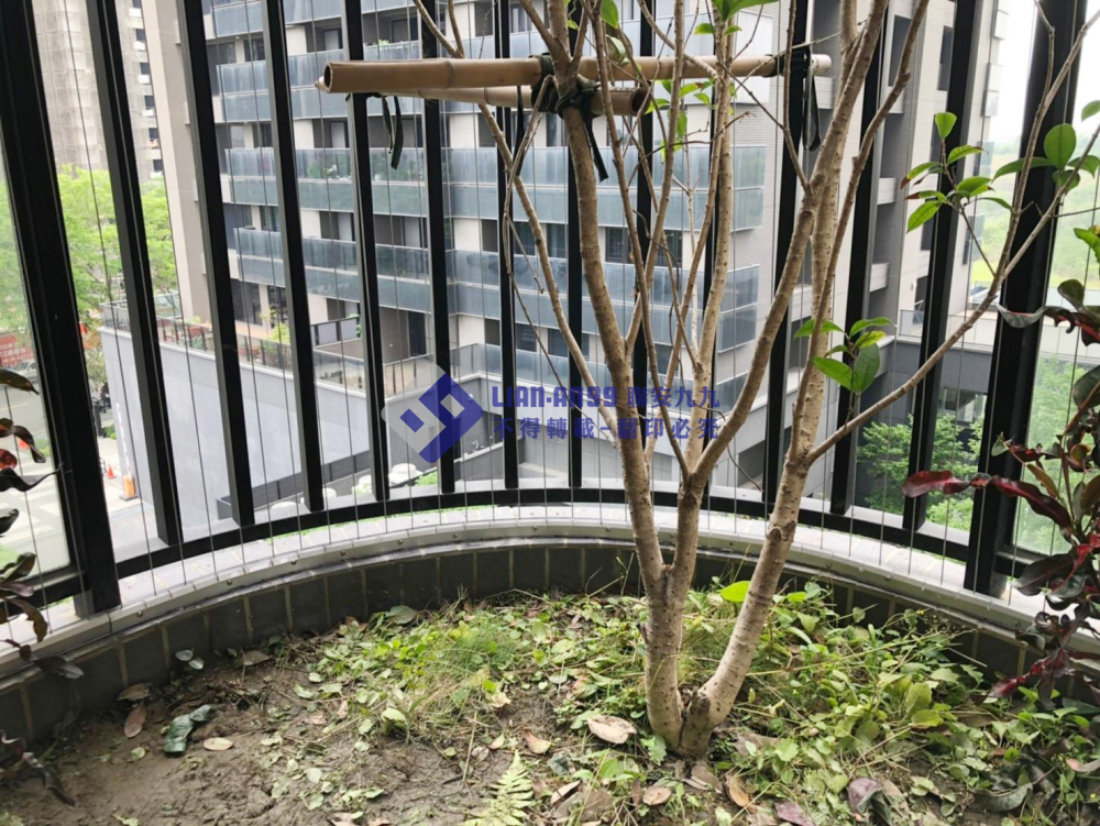 高雄橋頭唐先生 (5)