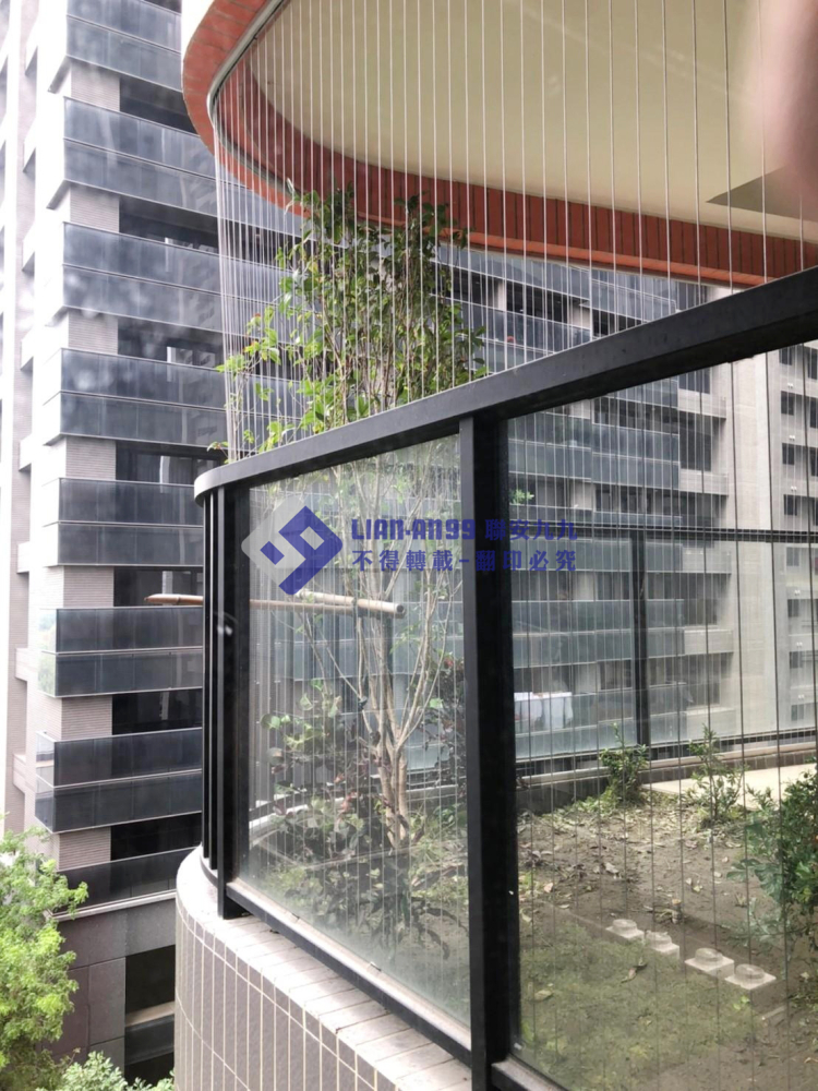 高雄橋頭唐先生 (9)