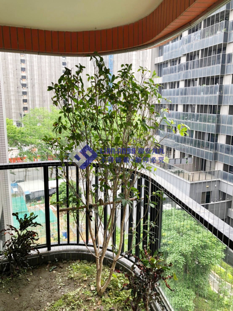 高雄橋頭唐先生 (1)