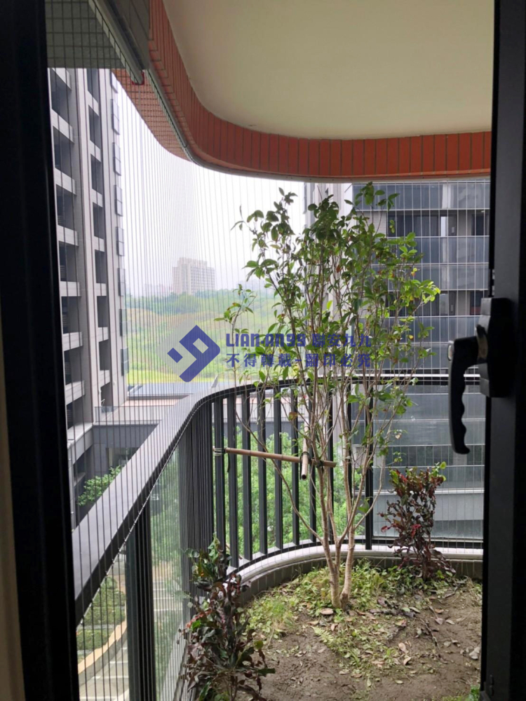 高雄橋頭唐先生 (12)