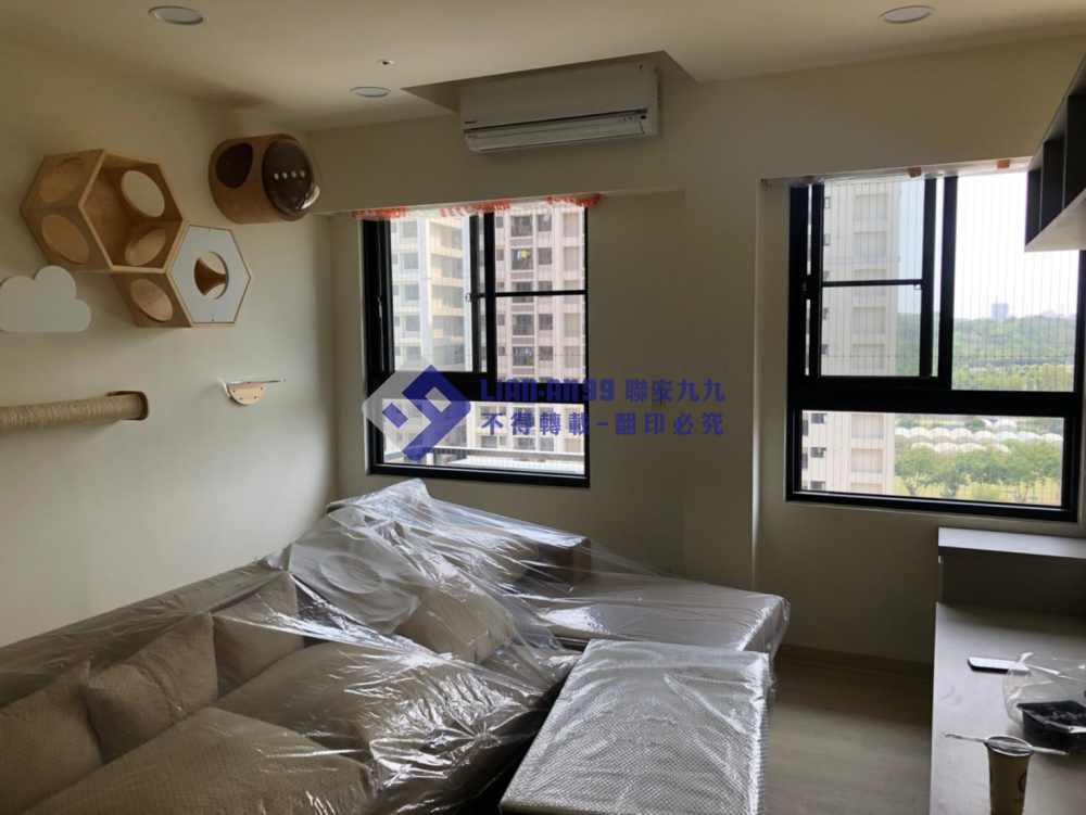 高雄橋頭謝小姐 (6)