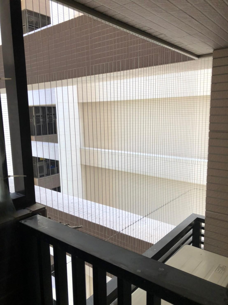 20220711高雄小港鄧小姐 防鴿_04