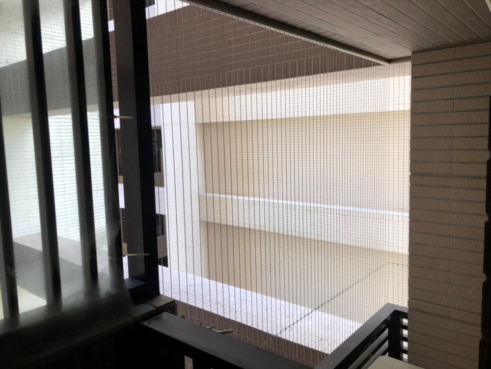 20220711高雄小港鄧小姐 防鴿_03_copy