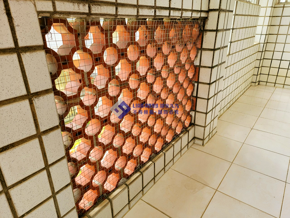 20240628台南仁德區包小姐寵物防墜_04