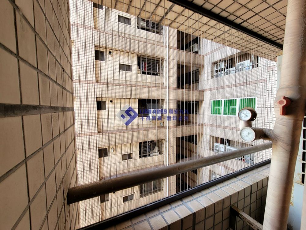 20240710高雄前鎮區李先生防鴿_01