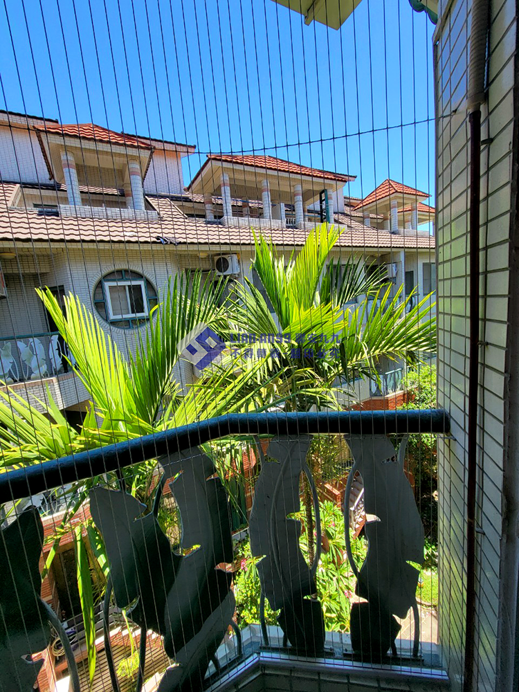 20240710高雄市梓官區葉小姐防鴿_02_copy