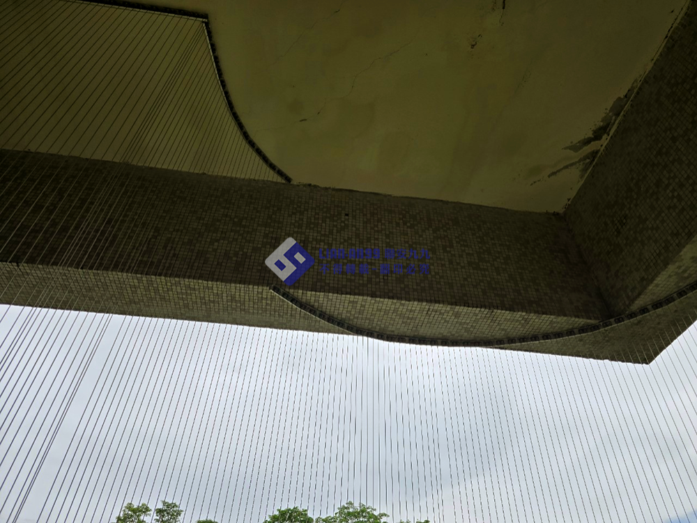 20240815雲科諮商輔導中心施 防鴿_04